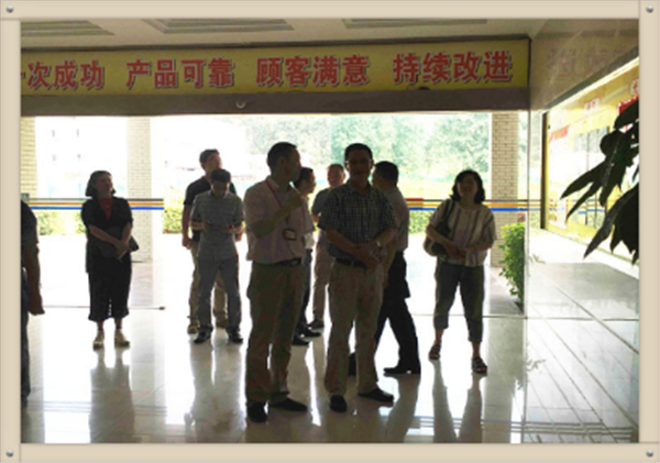 盛區(qū)長一行來我司考察指導工作